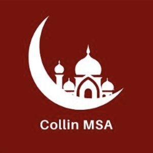 Team Page: Collin College MSA